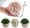 4 Stück Kunstpflanze Mini Künstliche Pflanzen wie echt, Produktbild-Vorschau 6