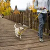 Ruffwear Flagline Geschirr Lichen Green M Produktbild-Vorschau 12