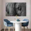 MuchoWow® Poster Elefant - Tiere - Nahaufnahme - Produktbild-Vorschau 5