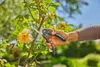Gardena Gartenschere PremiumCut Flex Anteprima dell’immagine prodotto 10