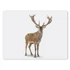 MuchoWow® Mauspad Mousepad Hirsche - Tiere - Weiß - Junge - Produktbild-Vorschau 1