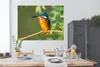 MuchoWow® Poster Vogel - Eisvogel - Zweig - Blätter - Moos Produktbild-Vorschau 3