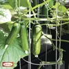 Bellissa Gurkenturm 120cm 120 cm hoch Produktbild-Vorschau 2