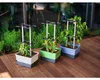 Gusta Garden CHARLY CHILY Standard samozavlažovací truhlík, Náhled obrázku produktu 19