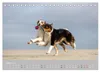 Australian Shepherd 2027 (Tischkalender 2027 DIN A5 quer), Produktbild-Vorschau 6