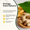 Panax Ginseng Extrakt Kapseln 500mg Produktbild-Vorschau 2