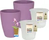 MePla - 2 Stück - Orchideenübertopf 500 lizzard ø 14 Produktbild-Vorschau 1