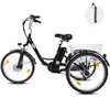 Draixcor M300 E-Citybike Elektro-Dreirad 24 Zoll, 250W Produktbild-Vorschau 2