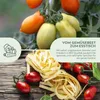 Tomatensamen (Principe Borghese, 10 Korn) - Tomaten Saatgut Produktbild-Vorschau 3