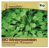 Samenliebe  Winterpostelein Samen | Winterportulak Produktbild-Vorschau 1