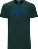 Übergrößen T-Shirt Harrisburg Blau AHORN SPORTSWEAR bottle Produktbild-Vorschau 1