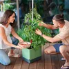 Gusta Garden TOM TOMATO 3er-Set dunkelgrün Produktbild-Vorschau 8