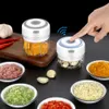 Elektrisch Zerkleinerer Küche, 250ML Mini Knoblauchhacker Produktbild-Vorschau 2