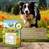 A dog running in a field of flowers with a bag of dog food in the foreground. Produktbild-Vorschau