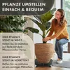 TTL HOME Pflanzenroller VERSO Ø38–50cm rund wetterfest mit Produktbild-Vorschau 5