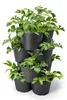 Tour de plantation empilable anthracite Pot à herbes Voir les images du produit 3