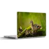MuchoWow® Laptop Aufkleber Sticker Cover Ente - Vögel - Produktbild-Vorschau 1