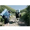 INF Ultraleichter Wanderstock, Trekkingstock, 5 Abschnitte, Produktbild-Vorschau 4