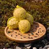 100 Stk. Lyra Pet® Meisenknödel mit Netz à 90 g = 9 kg in Produktbild-Vorschau 8