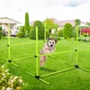 A dog jumping over an agility hurdle in a backyard setting. Voir les images du produit