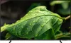 A close-up of a green leaf with water droplets on it, displayed on a TV screen. Produktbild-Vorschau