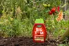 Westland Big Tom Tomatendünger 1 l Produktbild-Vorschau 2
