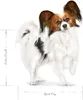 Royal Canin 3182550793735, Dospelý, Akékoľvek plemeno, Náhľad obrázku produktu 3