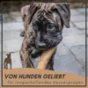 Supravit Natürlicher Kauknochen Kaffeeholz XS | Mehr als Produktbild-Vorschau 3