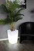 Solar Blumenkübel 50x30 cm LED RGB Blumentopf modern eckig Produktbild-Vorschau 5