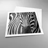 Poster - Poster ohne Rahmen - Tiere Zebra gestreift - 60x60 Produktbild-Vorschau 3