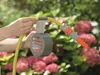 TESA 56388-00000, Grau, Kennzeichnung, Reparatur, Produktbild-Vorschau 3
