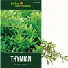 Thymian Deutscher Winter Samen - Thymus vulgaris - Produktbild-Vorschau 1