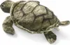 A plush toy turtle on a white background. Podgląd zdjęcia produktu
