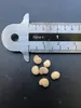 Mandragora (Mandragora officinarum)  - 3 semi Anteprima dell’immagine prodotto 5