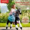 Cavallo meccanico da equitazione Ponnie Domino M con sella Anteprima dell’immagine prodotto 2