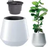 A white planter with a gray insert and a green plant. Náhľad obrázku produktu