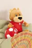 NICI pluszowy miś FC BAYERN MÜNCHEN Berni 35cm w koszulce Podgląd zdjęcia produktu 10
