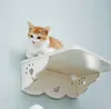 CatS Design Kletterwand große Katzen stabil Wandkratzbaum Produktbild-Vorschau 3