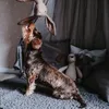 Hunter Hundespielzeug Marle 35 cm, Motive:Hase Produktbild-Vorschau 3