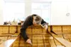 Contura 2K Bootslack + Härter Yacht Lack GFK Thekenlack Produktbild-Vorschau 5
