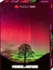 Heye Puzzle Sycamore Gap, 1000 Teile, 1000 Stück(e), Kunst Produktbild-Vorschau 1