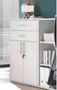 Aktenschrank - Lichtgrau Nachbildung - 80 x 111 cm - 2 Produktbild-Vorschau 7