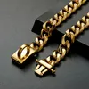 Goldenes Hundehalsband mit sicherem Schnallendesign, Produktbild-Vorschau 2