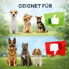 Hunde Türschutzgitter Treppen Gitter Tür Schutz Produktbild-Vorschau 9