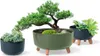 Prosperplast Kvetináč Misa Na Nožičkách 29 Cm Gracia Náhľad obrázku produktu 14