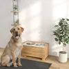 Distributeur de nourriture pour chiens, conception Voir les images du produit 2