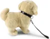 RAPPA Peluche cane golden retriever in piedi con guinzaglio Anteprima dell’immagine prodotto 9