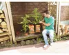 FLORAGARD Aktiv Tomaten- u. Gemüseerde compact 20L Produktbild-Vorschau 5