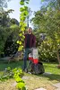 Trituratore elettrico a rulli IKRA Trituratore da giardino Anteprima dell’immagine prodotto 14
