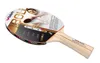 Butterfly Timo Boll Bronze 85010 Produktbild-Vorschau 3